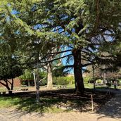 El Ayuntamiento cierra este jueves el Parque del Cid por tareas de mantenimiento