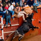 Imagen de archivo de una capea en Ciudad Rodrigo (Salamanca)