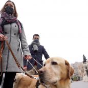La ONCE pide a los leoneses que no ofrezcan comida a los perros guía y eviten distraer su atención
