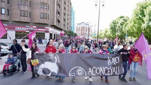 Manifestación III Caminu la Llibertá | Campillo / ICAL