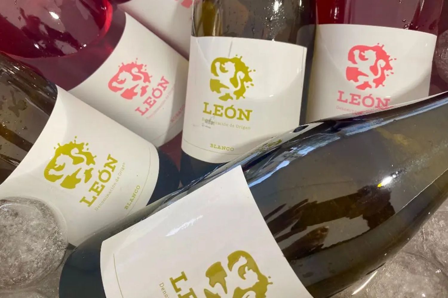 Vinos Do León