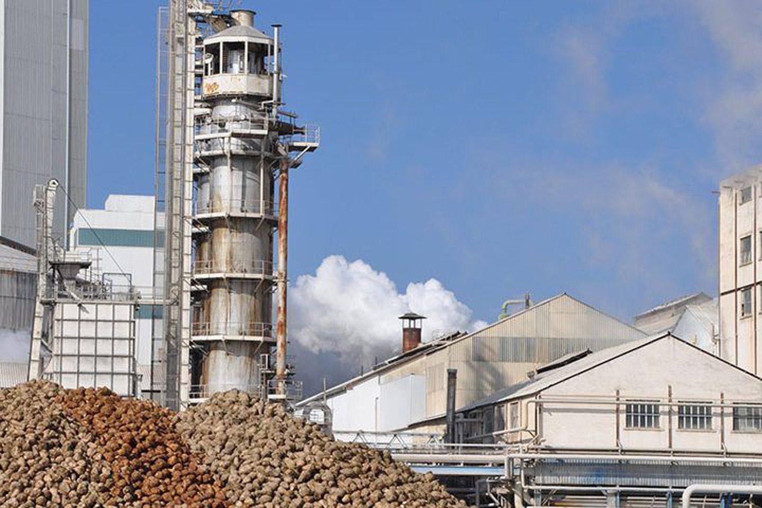 Fábrica de Azucarera | Gerardo Álvarez Courel resalta la “relevancia” del sector azucarero como “motor de la economía leonesa”