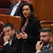 UPL denuncia que Valladolid concentra el 60% del gasto de la Junta en servicios de vigilancia