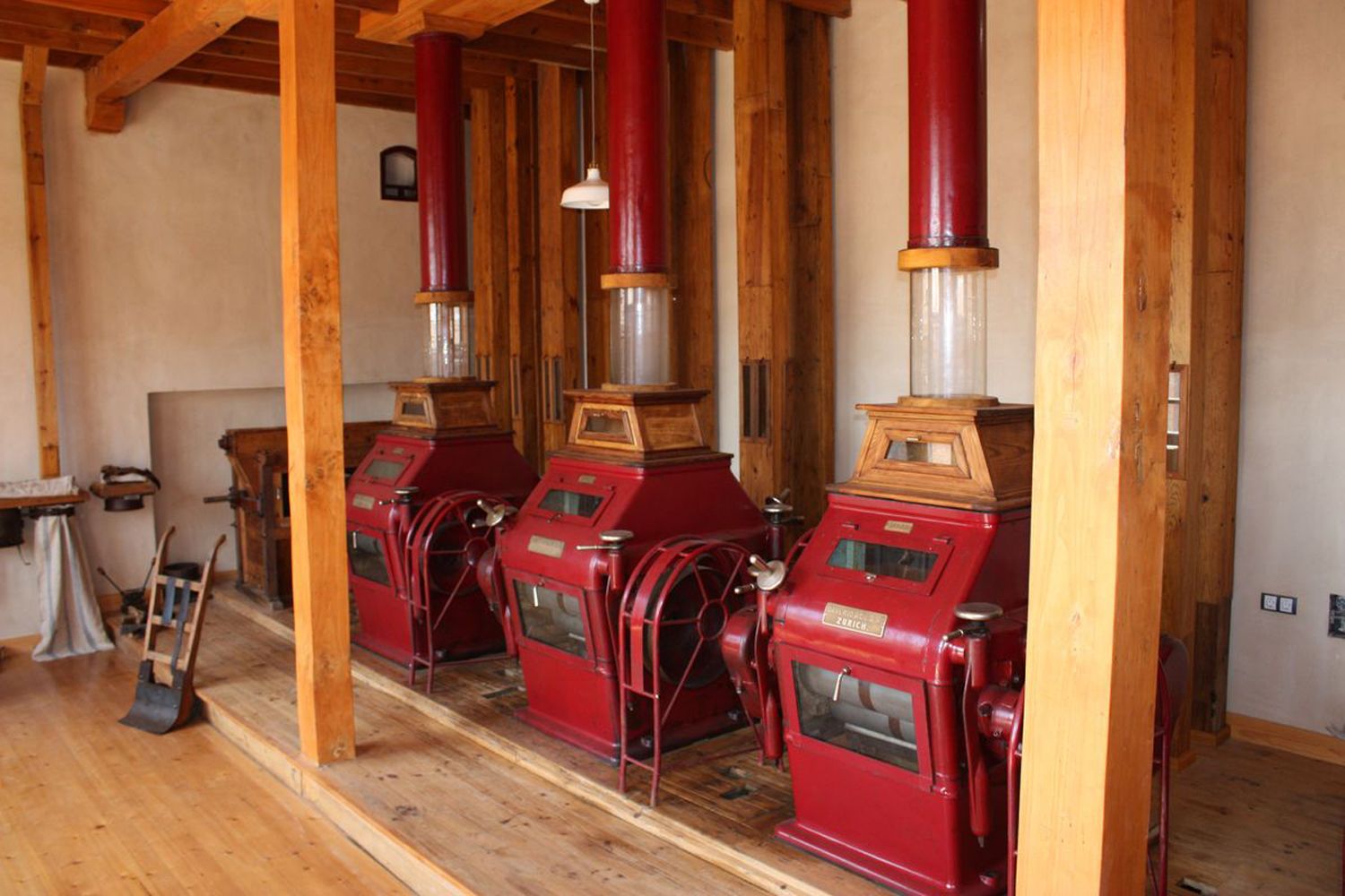 Mihacale gordoncillo leon