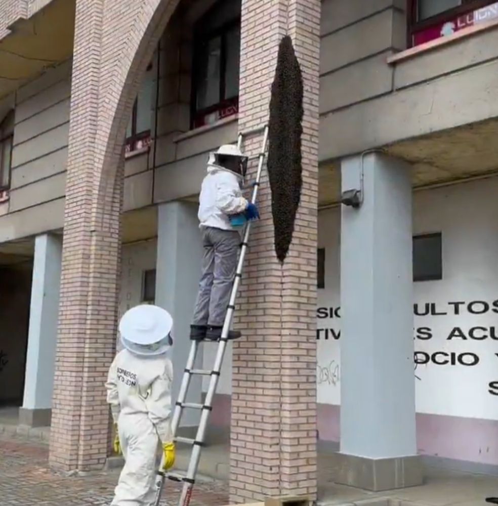 bomberos León (1) bomberos León (1)