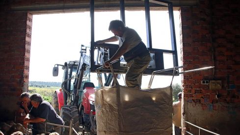 Tiempo de esquila | Peio García / ICAL