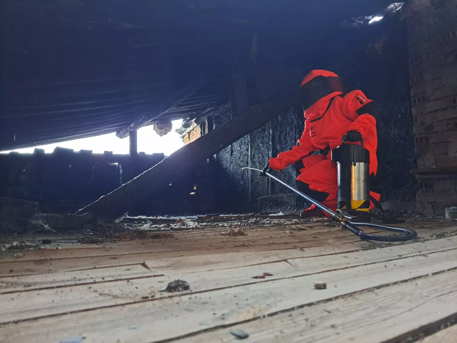 La Diputación de León destinará 30.000 euros a la lucha contra el avispón asiático 