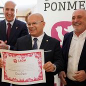 clasificacion excelente vinos do leon