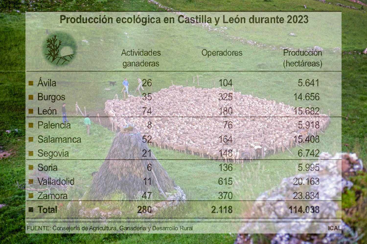 La provincia de León se podiciona como líder de la Comunidad en la producción ganadera ecológica 
