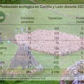 León, la provincia líder de CyL en producción ganadera ecológica León, la provincia líder de CyL en producción ganadera ecológica