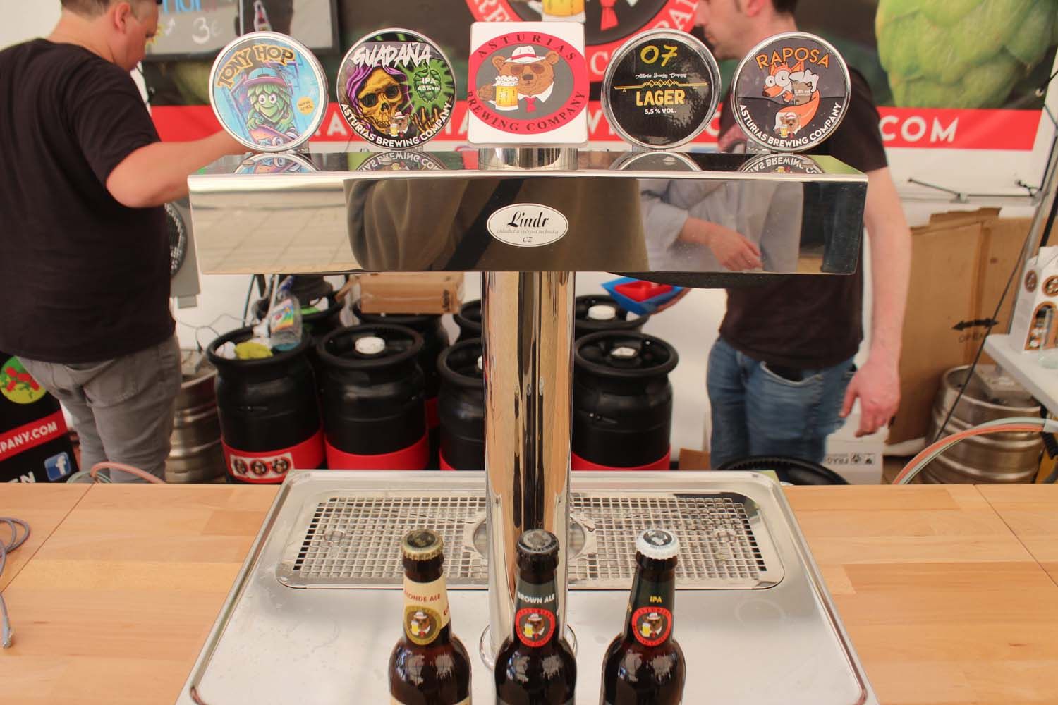 Feria cerveza artesana  (9)