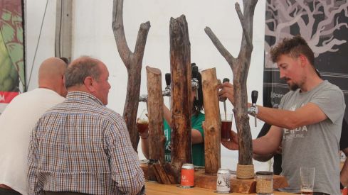 Feria cerveza artesana  (16)