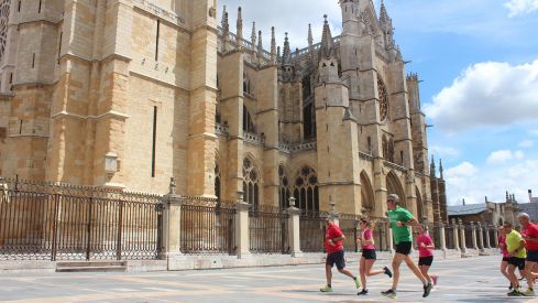 Carrera A Santiago contra el cáncer6