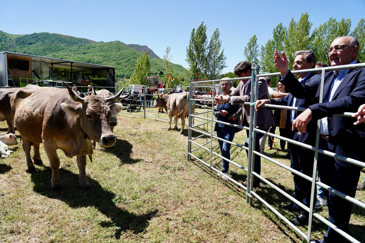 Feria de la Raza Parda de Montaña | Campillo / ICAL