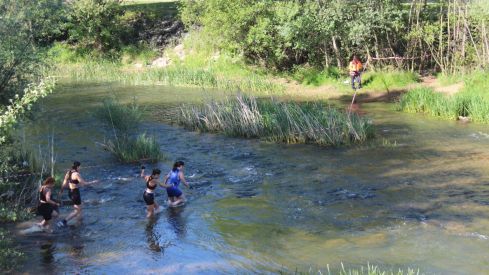 Farinato race Farinato race