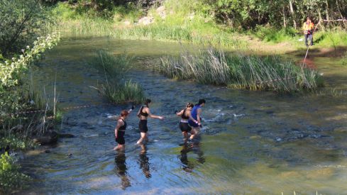 Farinato race Farinato race