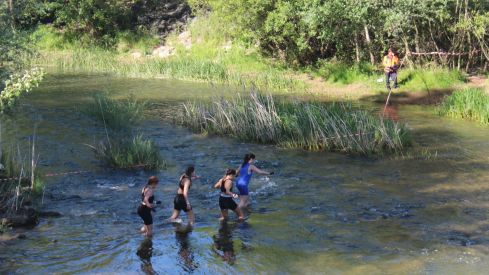 Farinato race Farinato race