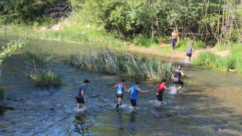 Farinato race Farinato race