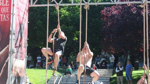 Farinato race Farinato race