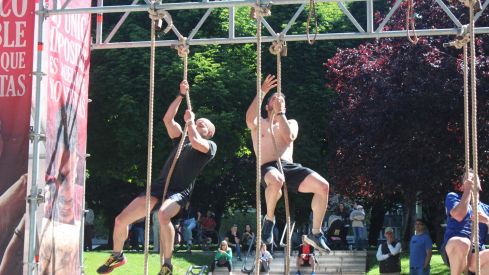 Farinato race Farinato race