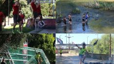 Farinato Race Farinato Race