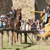 Justas del Passo Honroso de Hospital de Órbigo | Campillo / ICAL