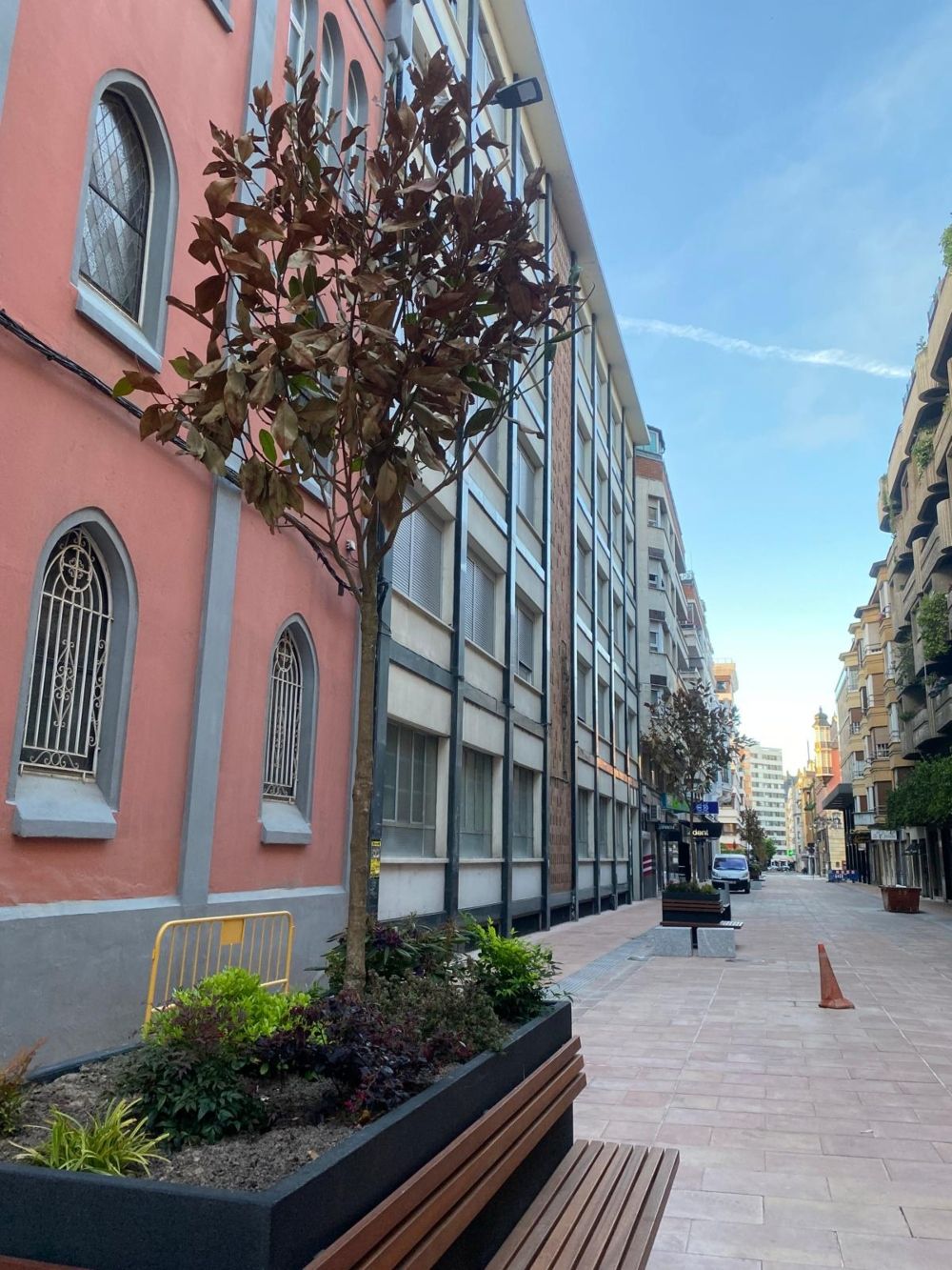  UPL pide reponer los magnolios secos en las jardineras de las calles Alfonso V y Gil y Carrasco en León