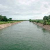 Canal de regadío | Foto de istock