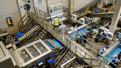 El Grupo Somos Hijolusa consolida su crecimiento con una facturación de 244 millones en 2024