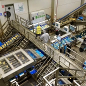 El Grupo Somos Hijolusa consolida su crecimiento con una facturación de 244 millones en 2024