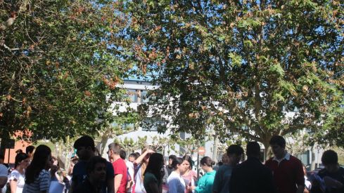 Comienza la EBAU en León 