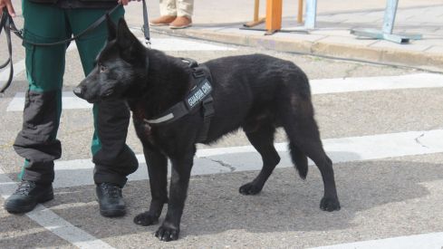 Exposición de materiales de las Fuerzas Armadas y Guardia Civil de León