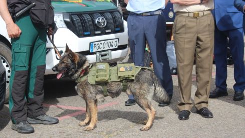 Exposición de materiales de las Fuerzas Armadas y Guardia Civil de León