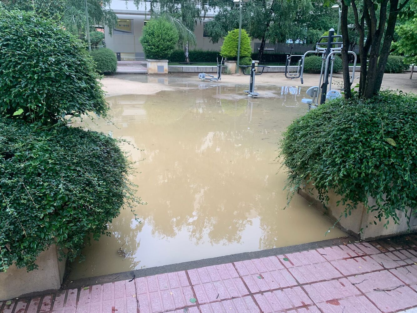 Los daños que dejo la DANA a su paso por León: Conoce el tiempo para el fin de semana 