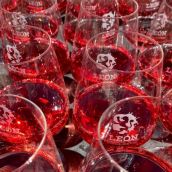 Quince bodegas de la DO León participan en la XXII edición de la Feria del Vino de Valencia de Don Juan