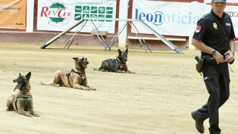 Exhibición de medios policiales en la plaza de toros de León | Campillo / ICAL Exhibición de medios policiales en la plaza de toros de León | Campillo / ICAL