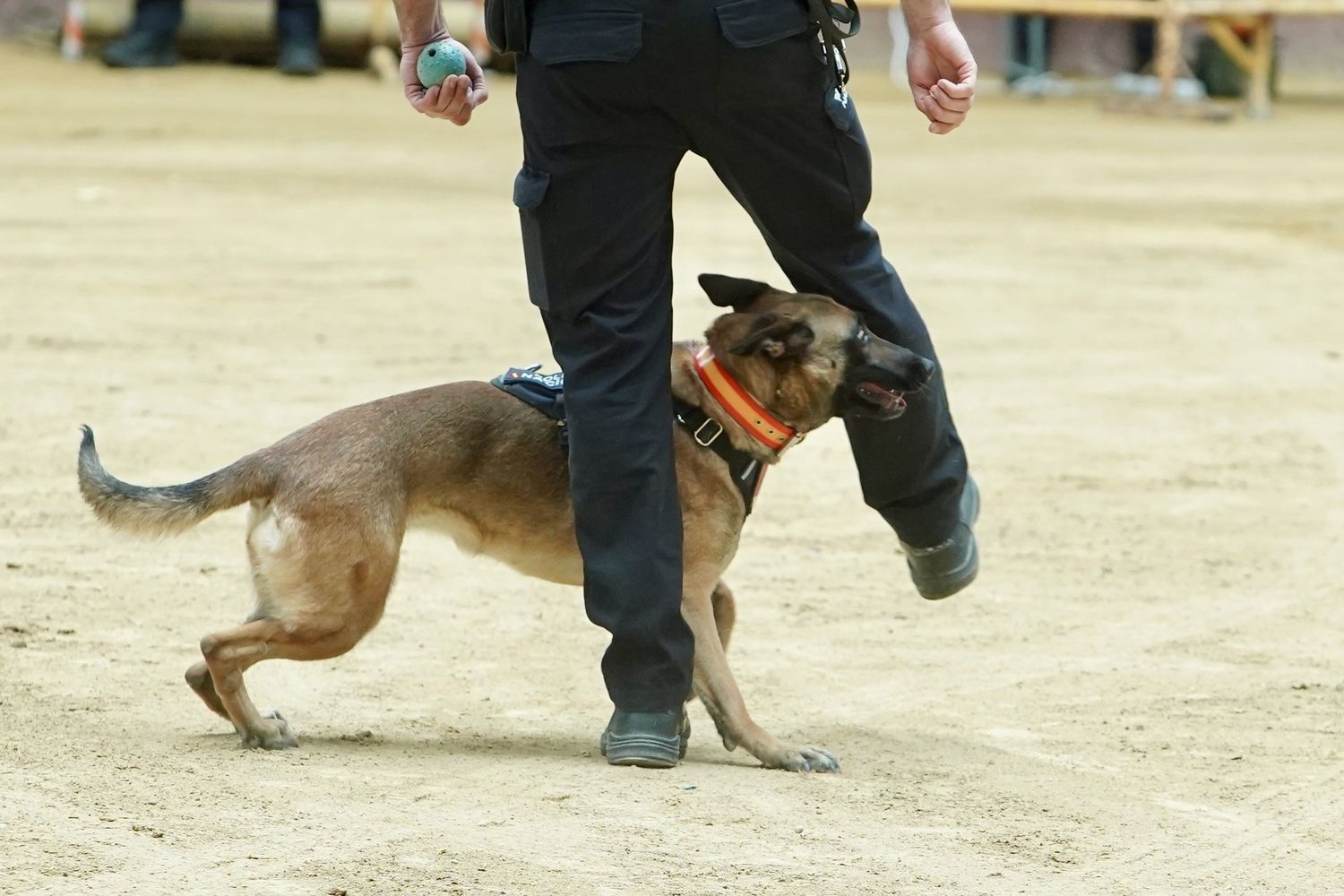 Exhibición de medios policiales en la plaza de toros de León | Campillo / ICAL 