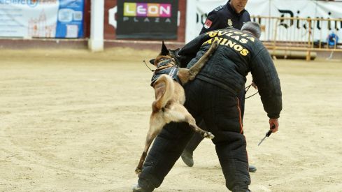 Exhibición de medios policiales en la plaza de toros de León | Campillo / ICAL Exhibición de medios policiales en la plaza de toros de León | Campillo / ICAL