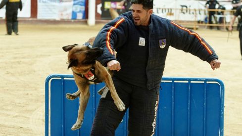 Exhibición de medios policiales en la plaza de toros de León | Campillo / ICAL Exhibición de medios policiales en la plaza de toros de León | Campillo / ICAL