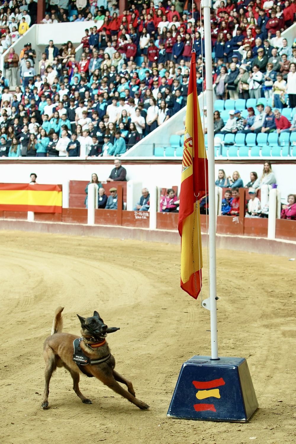 Exhibición de medios policiales en la plaza de toros de León | Campillo / ICAL 