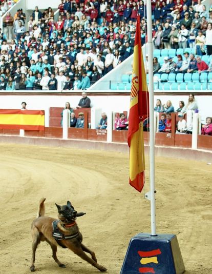 Exhibición de medios policiales en la plaza de toros de León | Campillo / ICAL Exhibición de medios policiales en la plaza de toros de León | Campillo / ICAL