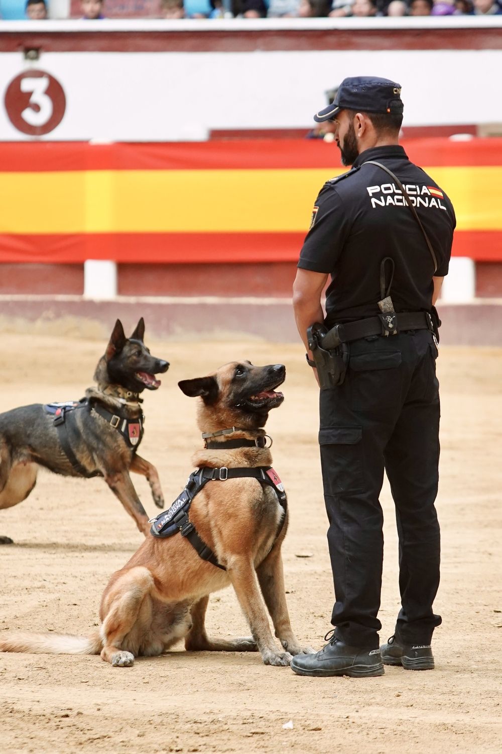 Exhibición de medios policiales en la plaza de toros de León | Campillo / ICAL 