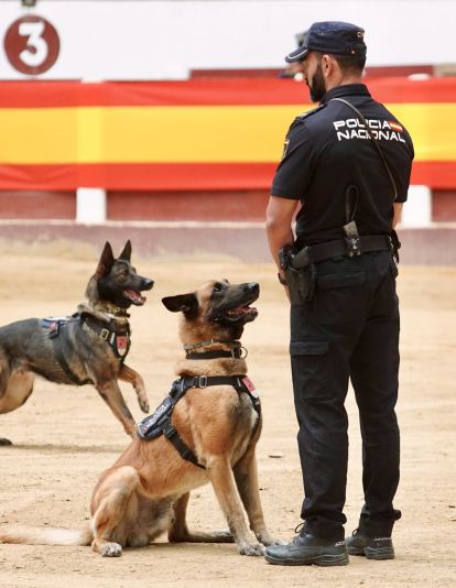 Exhibición de medios policiales en la plaza de toros de León | Campillo / ICAL Exhibición de medios policiales en la plaza de toros de León | Campillo / ICAL