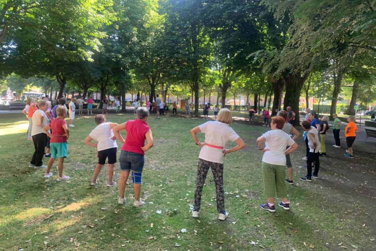 Los mayores de 60 años en León disfrutarán a partir de este lunes del programa de ocio estival 