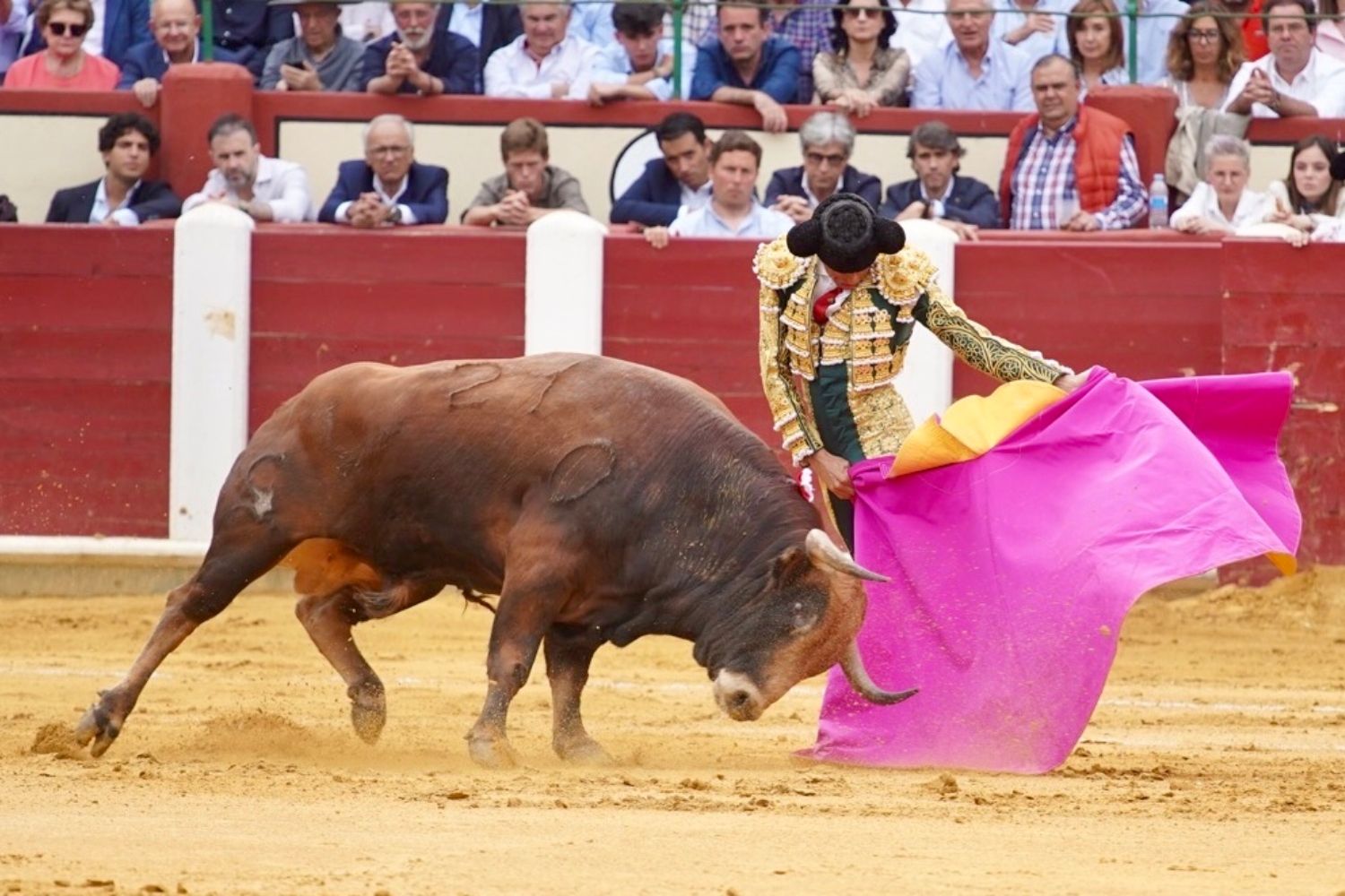 Emilio de Justo en la Feria taurina De San Pedro Regalado (Valladolid) | Leticia Pérez / ICAL