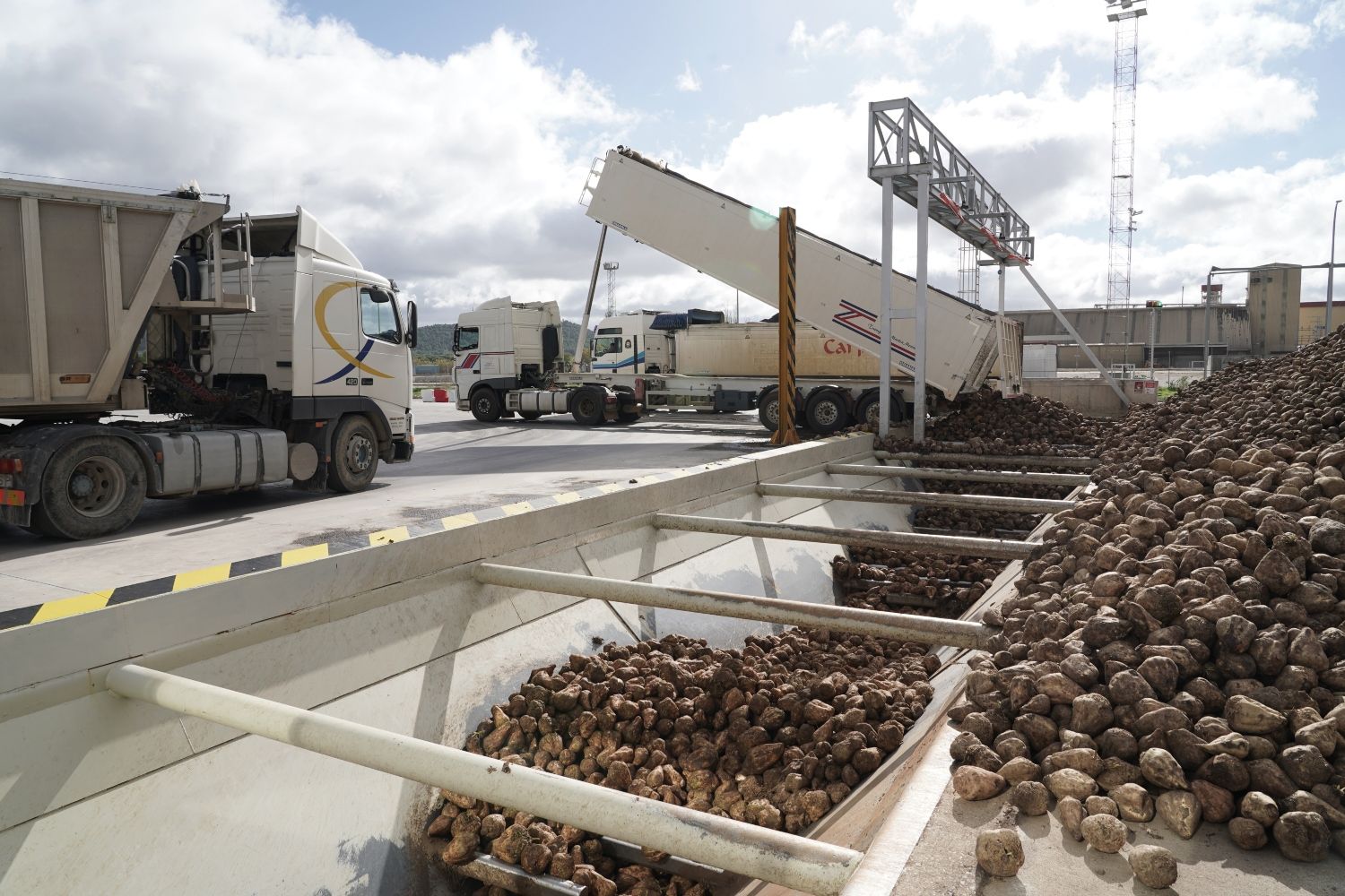 Recepción de remolacha en la fábrica de la azucarera ACOR en Olmedo | Rubén Cacho / ICAL