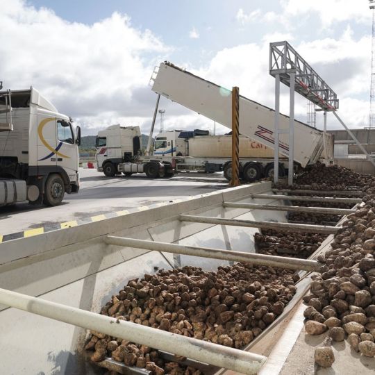 Recepción de remolacha en la fábrica de la azucarera ACOR en Olmedo | Rubén Cacho / ICAL Recepción de remolacha en la fábrica de la azucarera ACOR en Olmedo | Rubén Cacho / ICAL
