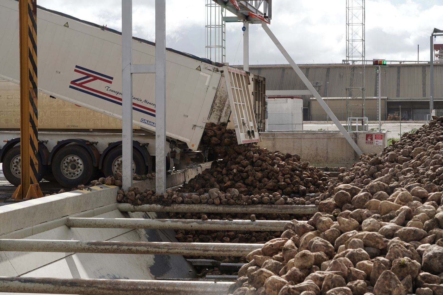 Recepción de remolacha en la fábrica de la azucarera ACOR en Olmedo (Valladolid) (1)