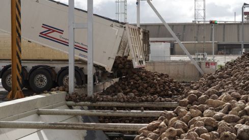 El PCE de León exige la expropiación de Azucarera ante el cierre de la planta de La Bañeza