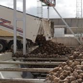 El PCE de León exige la expropiación de Azucarera ante el cierre de la planta de La Bañeza